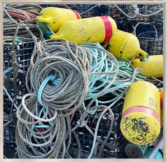Rope and Buoys
